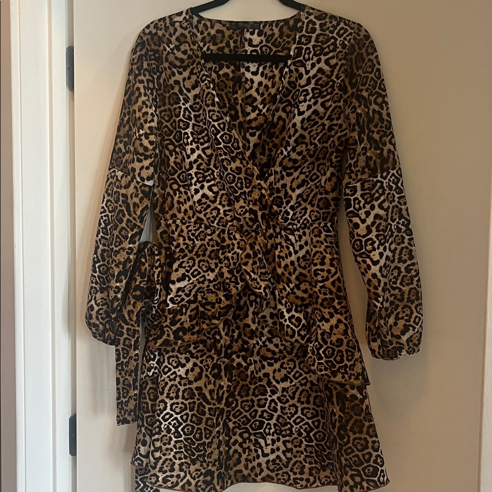 Leopard Print Long Sleeve Dress